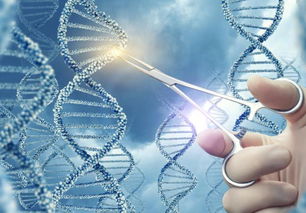 賀建奎最新回應(yīng) 堅(jiān)信倫理與生物技術(shù)開發(fā)終將同行