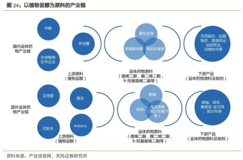 溢多利 專注研發(fā)創(chuàng)新的生物技術(shù)隱形冠軍，替抗業(yè)務(wù)迎來高增長