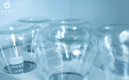 直擊醫藥行業痛點，高晉打造專業培訓項目賦能生物技術開發