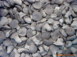 邯鄲市兆輝生物科技 深耕生物技術開發(fā)，打造多元化高品質(zhì)食用菌產(chǎn)品矩陣